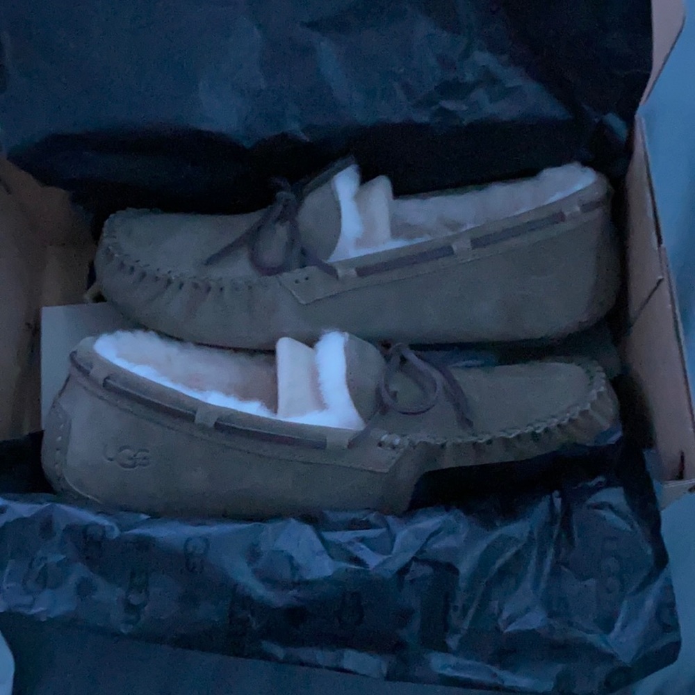Brand new UGG slippers